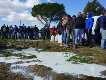 Prezzo latte, intesa raggiunta a 74 centesimi al litro