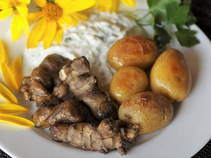 Il topinambur: tubero miracoloso per la salute dello stomaco