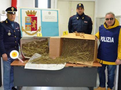 Quattro chili di canapa indiana, arrestato 25enne