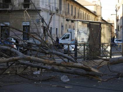 Cade albero a Roma, due feriti gravi