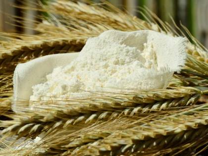 Escrementi e zampe di topo nel pacco di farina: Nas chiudono stabilimento