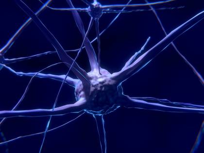 Il cervello umano generatore di neuroni a 90 anni