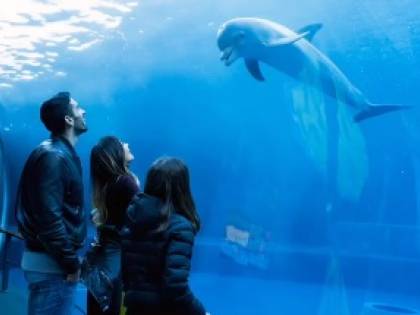 Giorgia Palmas e Filippo Magnini esperienza da sogno all'Acquario di Genova