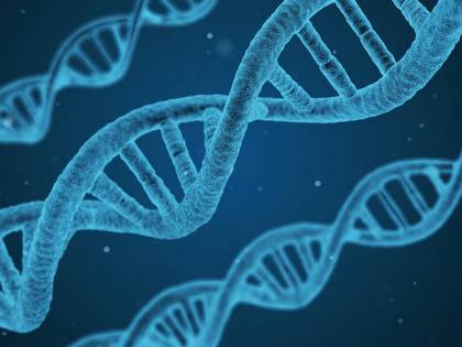 Altro che Dna, tutto è iniziato con una particella di glucosio
