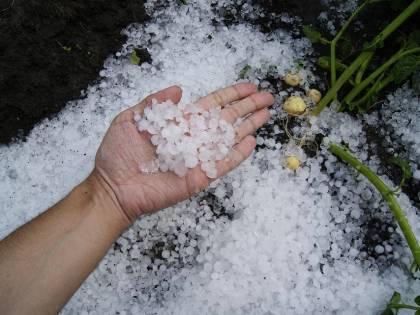 Violenta grandinata su Genova imbianca strade e terrazzi