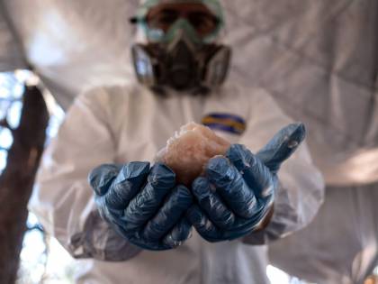 Stati Uniti, professori di chimica accusati di produrre metanfetamina nel laboratorio della scuola