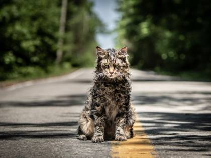 Un nuovo "Pet Sematary" al cinema, sempre dal libro di King
