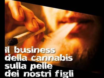 Cannabis light, neuroscienziato mette in guardia politici e famiglie