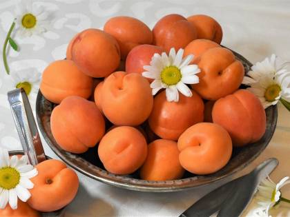 Albicocche, un prezioso frutto per la salute