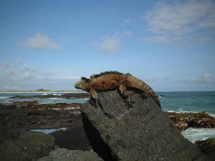 Accordo Usa-Ecuador: base militare americana alle Galapagos