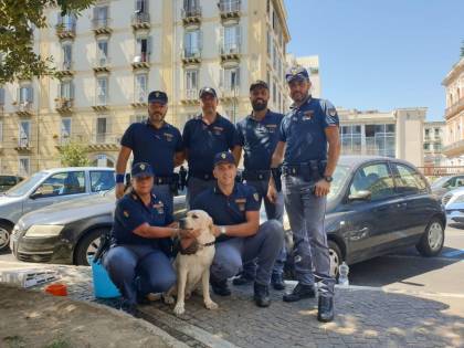 Labrador abbandonato in auto sotto al sole, salvati dagli agenti