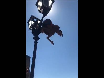 Napoli, tuffi pericolosi dai lampioni del ponte di Castel dell'Ovo