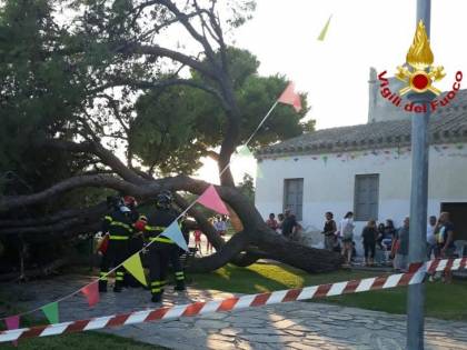 Cagliari, cade un pino sui bambini durante una festa di compleanno