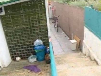Chieti, accoltellata da stalker, donna viene salvata dal suo cane