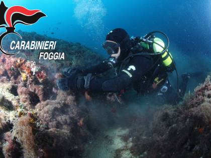 Isole Tremiti, trovati reperti di origine Etrusca