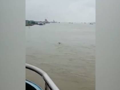 Cina, avvistato "parente" del Mostro di Loch Ness