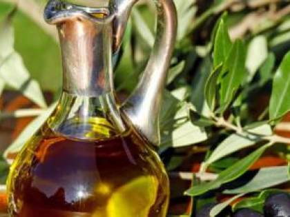Xylella, si contano i danni: giù la produzione di olio pugliese
