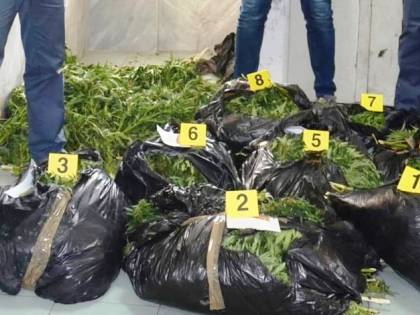 Scoperto l'essiccatoio della canapa, scattano gli arresti