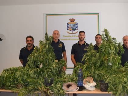 Caltanissetta, scoperta dalle Fiamme Gialle una vasta piantagione di cannabis
