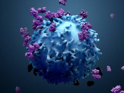 Cancro, i ricercatori inglesi vogliono ricostruire il "primo giorno di vita" della malattia