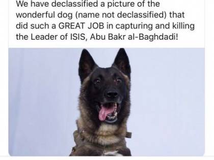 Ecco il cane "eroe" nel raid per catturare Baghdadi
