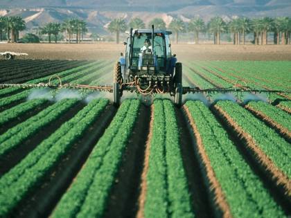 Gli imprenditori agricoli: "La sanatoria degli irregolari? Servono operai specializzati, non braccianti"