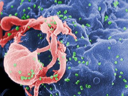 Hiv, fallisce il test di un vaccino: per gli scienziati non protegge