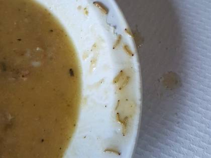 Vermi nel cibo della mensa a scuola: scoppia il caso a Marano