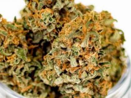 Macerata, marijuana a scuola: fermato 13enne