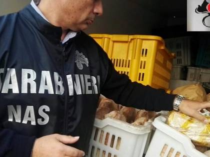 Mancano le condizioni igienico sanitarie, i Nas chiudono una mensa scolastica a Messina