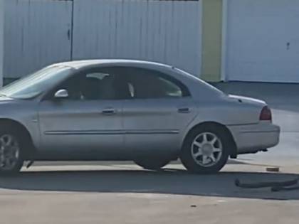 Florida, incredibile ma vero: cane "guida" per un'ora un'auto in retromarcia