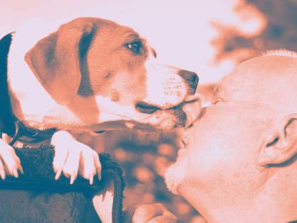Il cane lo lecca, muore dopo giorni di sofferenza