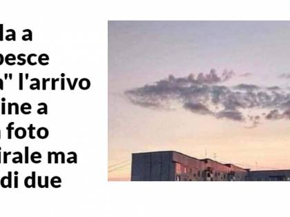 Sulle sardine "Repubblica" prende un granchio