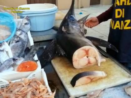 Pesce non tracciato in vendita al mercato