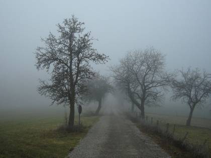 Meteo Immacolata, Italia spaccata in due: nebbie al Nord, primavera al Sud