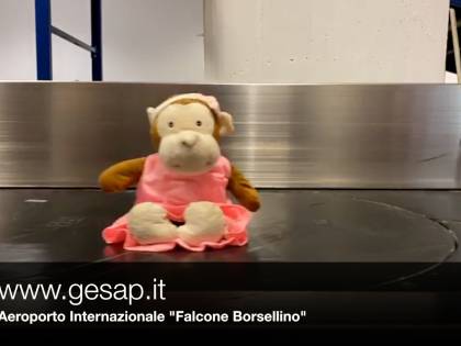 "Torna a prendermi" La tenera campagna per i peluche smarriti