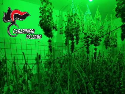 Rubavano elettricità per coltivare cannabis: arrestati due fratelli