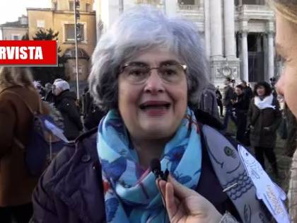 La sardina contro Il Giornale: "Fa male alla democrazia"