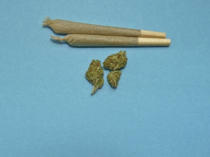 Perché gli "spinelli" di oggi sono più potenti