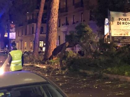 Roma, albero cade e colpisce auto: automobilista ferita