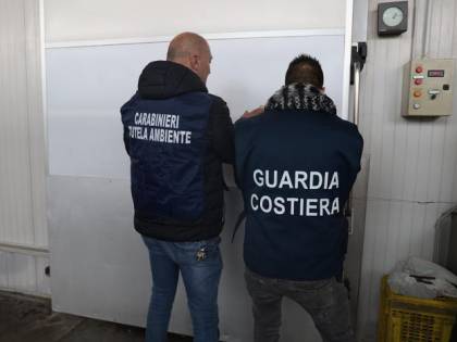 Calce edilizia al posto di quella alimentare: l'orrore scovato nell'azienda ittica