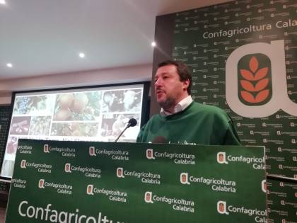 Salvini incontra Gratteri: “Sostegno a chi lotta contro la 'ndrangheta”
