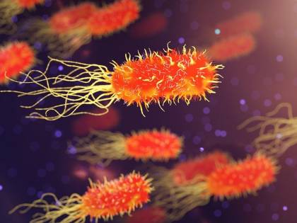 Meningite, come contrastare il contagio