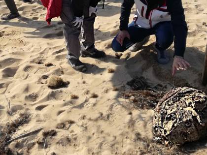 Taranto, durante l'operazione "spiagge pulite" trovati tre ordigni