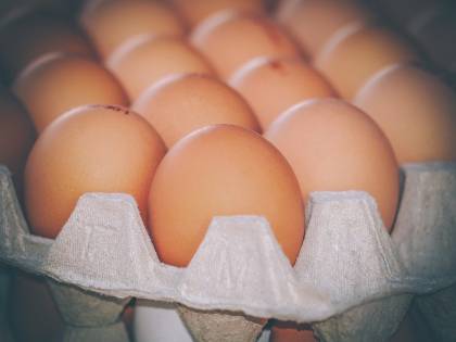 Uova bio a rischio salmonella: aumentano i lotti ritirati