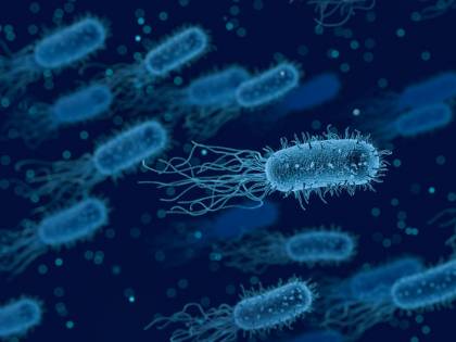 Tumore allo stomaco, rischio dimezzato eliminando il batterio dell'ulcera