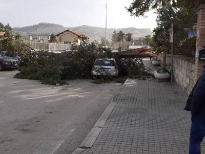 Vento forte a Pescara, albero cade su una macchina