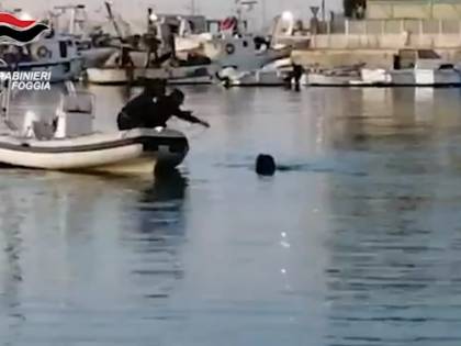 La fuga in mare del ladro di merendine