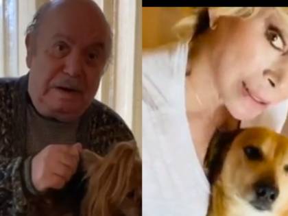 Coronavirus, la campagna dei vip: "Non abbandonate cani e gatti"