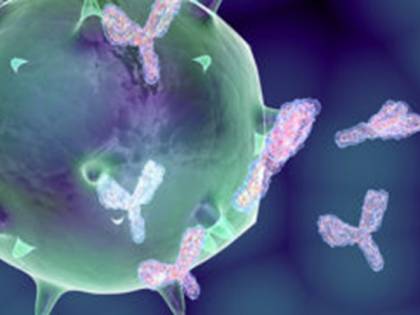 Coronavirus, possibile cura clonando gli anticorpi di chi è stato infettato